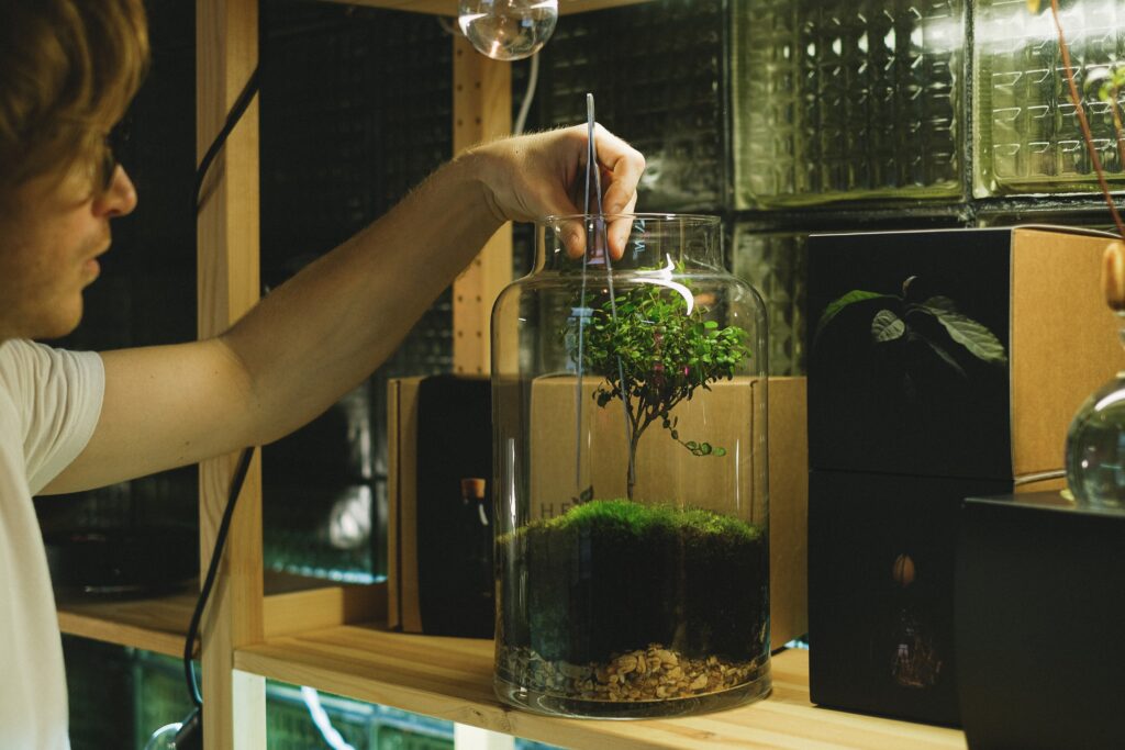 Moss in a jar